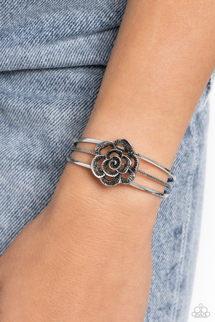 Rosy Repose - Silver Bracelet-Paparazzi