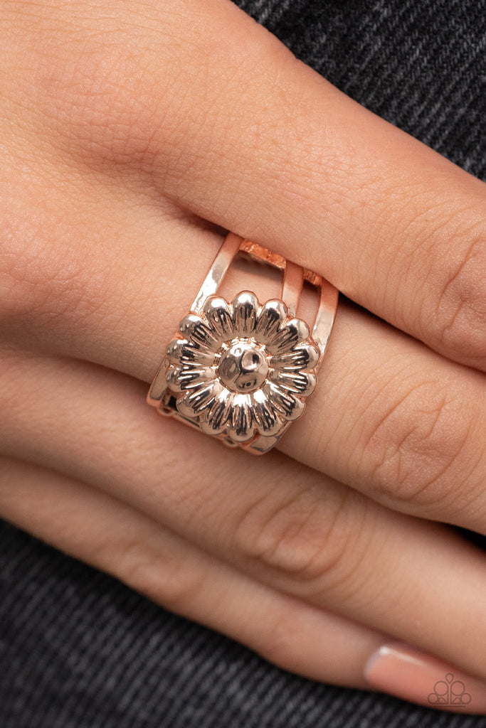 Roadside Daisies - Rose Gold Paparazzi Ring - The Sassy Sparkle